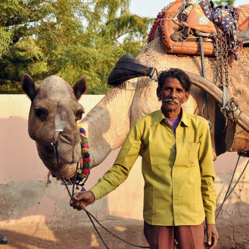 pushkar 05 pushkar 05